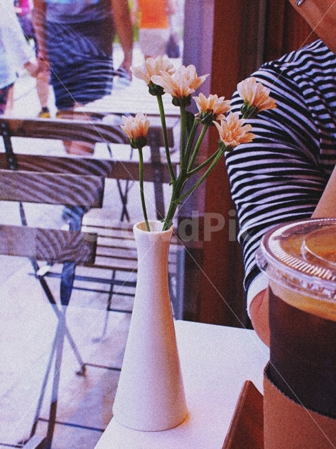 전주,카페,꽃,감성,여행,식물,자연,plants,nature,꽃,flower,커피,카페,coffee,cafe,감성,sensible,feeling,인테리어,실내디자인,interior design