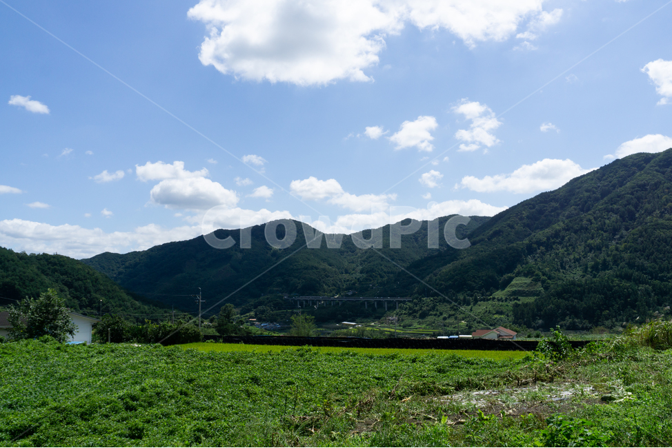 자연,nature,들,구름,조화,자연,풍경,nature,landscape,outdoors,옥외,field,grassland,목초지
