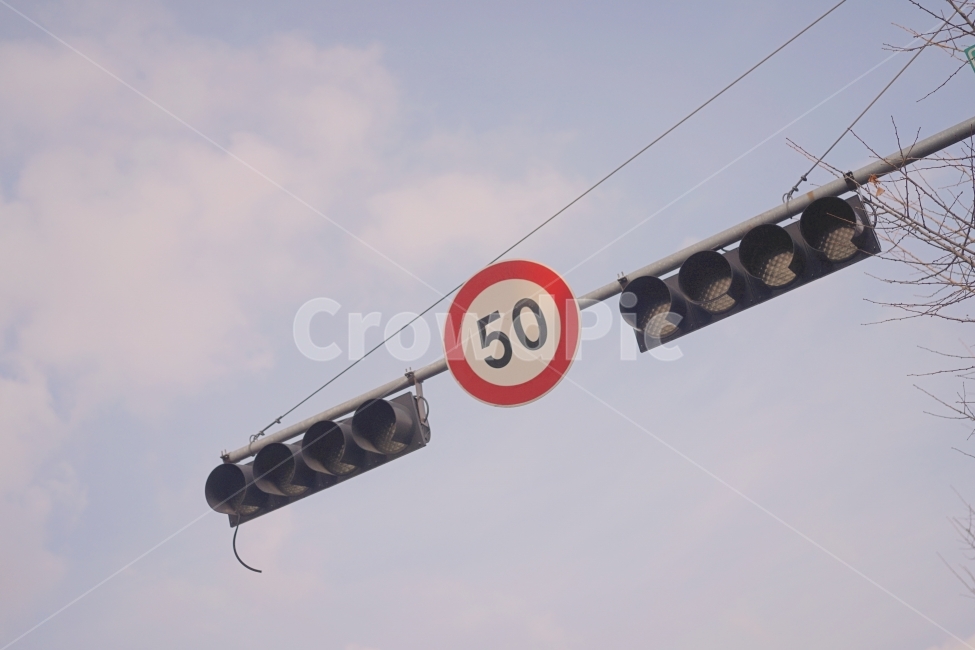 하늘,신호등,표지판,일상스냅,스냅사진,교통,교통수단,traffic,transportation