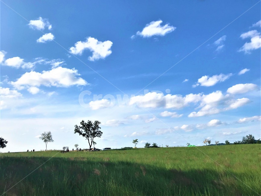 자연,대초원,풍경,하늘,색감,자연,풍경,nature,landscape,outdoors,옥외,grassland,목초지,field,들,savanna