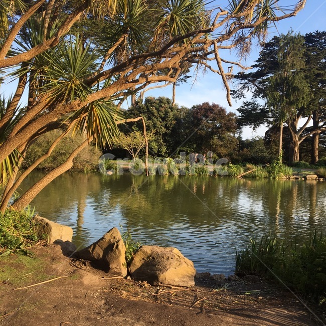 water,물,nature,자연,outdoors,나무,tree,식물,plant,옥외