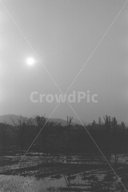 아산,외암민속마을,흑백,필름,겨울,FM2,ADOXSILVERMAX100,자연,풍경,nature,landscape,흑백,모노톤,monochrome,black and white,outdoors,옥외