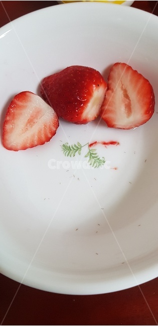 딸기,접시,과일,strawberry,plate