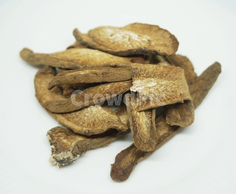 우엉,우엉차,말린우엉,burdock,driedburdock,식물