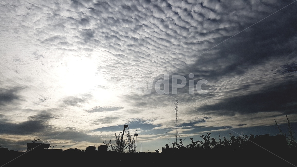 구름,권적운,cirrocumulus,gloomy,하늘,날씨,weather,sky,cloud,우울,음침,melancholy