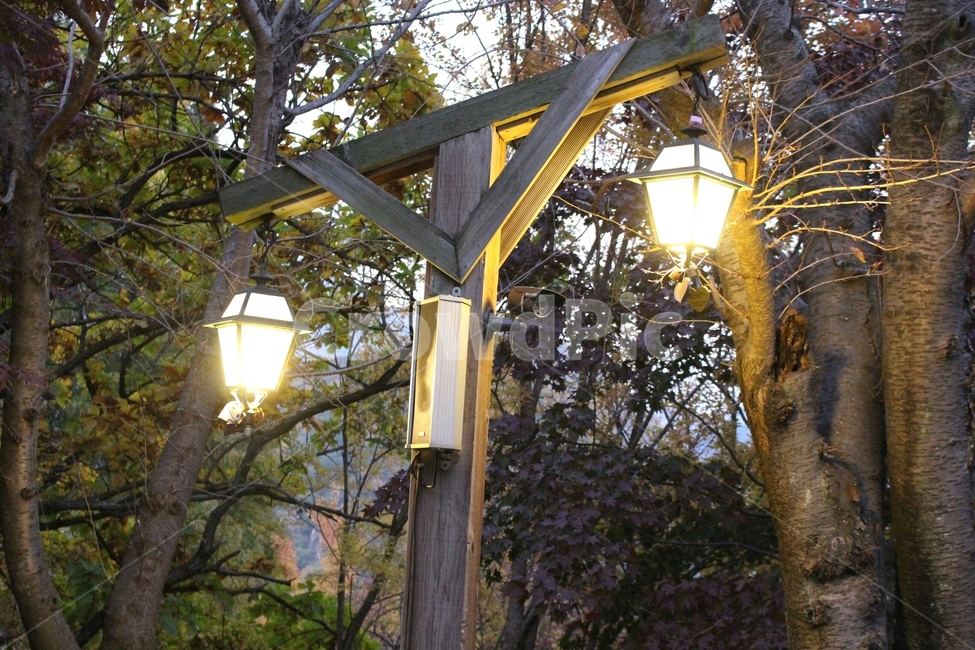 가로등,불빛,빛,streetlamp,streetlight,감성사진