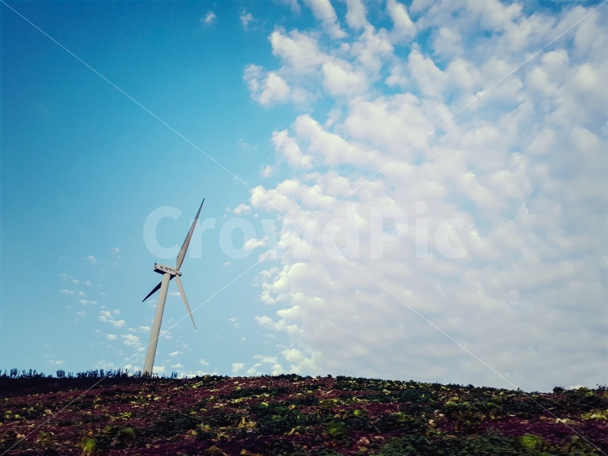 풍력단지,구름,하늘,감성사진,풍경사진,자연,풍경,nature,landscape,사물,물건,오브젝트,thing,object,matter,engine,엔진,machine,기계,motor,모터