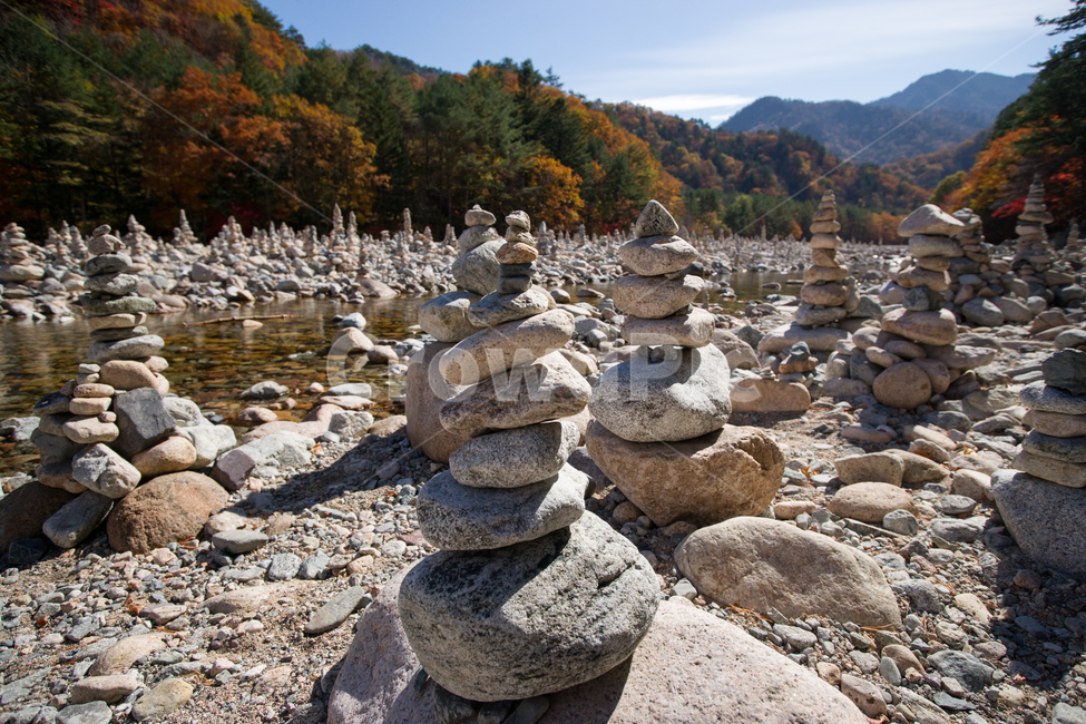 탑,돌멩이,계곡,배경,바탕,배경이미지,뒷배경,백담사계곡,돌탑,불공,가을산사,불심