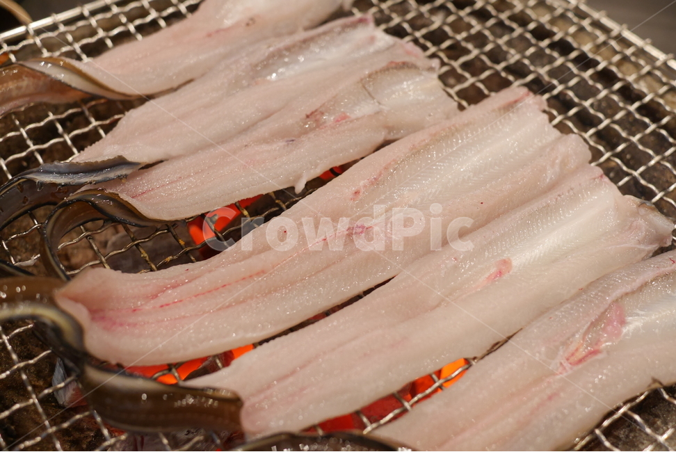 장어,보양식,복날,돌장어,마산돌장어,회식,회식메뉴,모임,음식,저녁식사,food,숯불,숯불구이,스테미너,음식,식재료,요리,food,cook,meal,dishes,food reserves,수산물,해산물,fishery products,seafood,한식,한국음식,한국요리,korean food,korean dishes,korean meal,korean cook