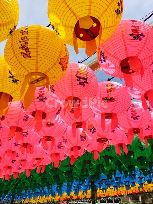 여름,절,등,한국,전통,한국전통,한국문화,korean traditional,korean culture,종교,신앙,religion,belief,faith,축제,행사,festival,carnival,event