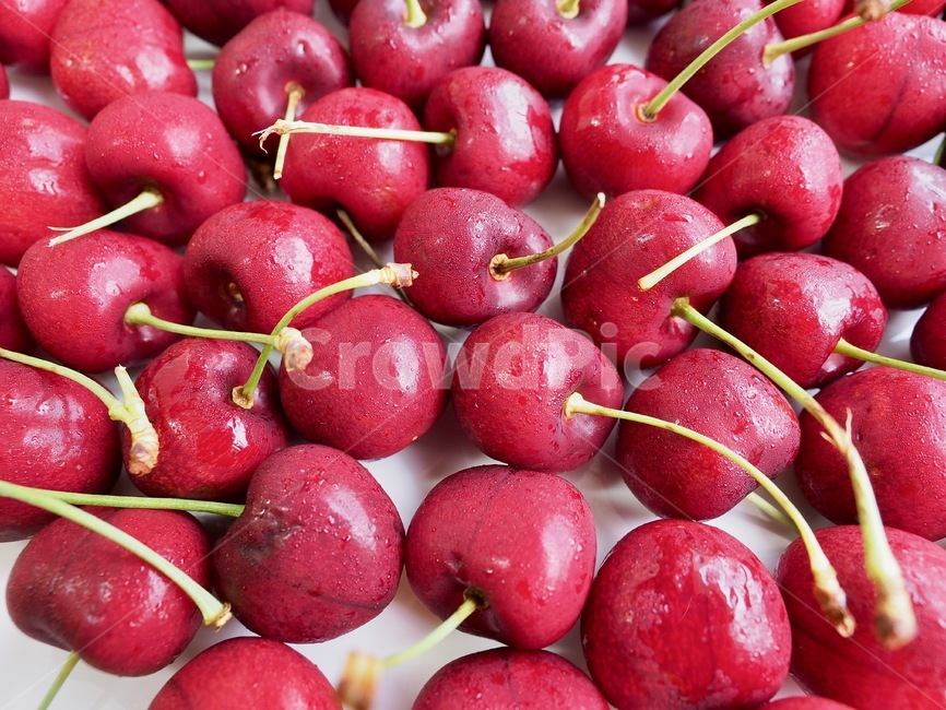 체리,과일,음식,자연,신선함,건강한식생활,유기농,날것,달콤한음식,빨강,배경,cherry,fruit,food,nature,freshness,healthyeating,organic,rawfood,sweetfood,red,background,과일,열매,fruit