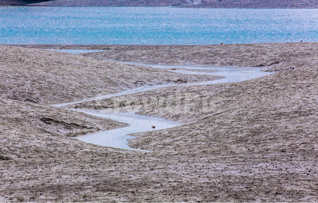 영종도,갯벌,석양,풍경,환경,바닷가,자연,풍경,nature,landscape,한국자연풍경,한국자연경관,korea nature landscape,ground,바닥,dirt road,흙길,gravel,자갈,road,도로