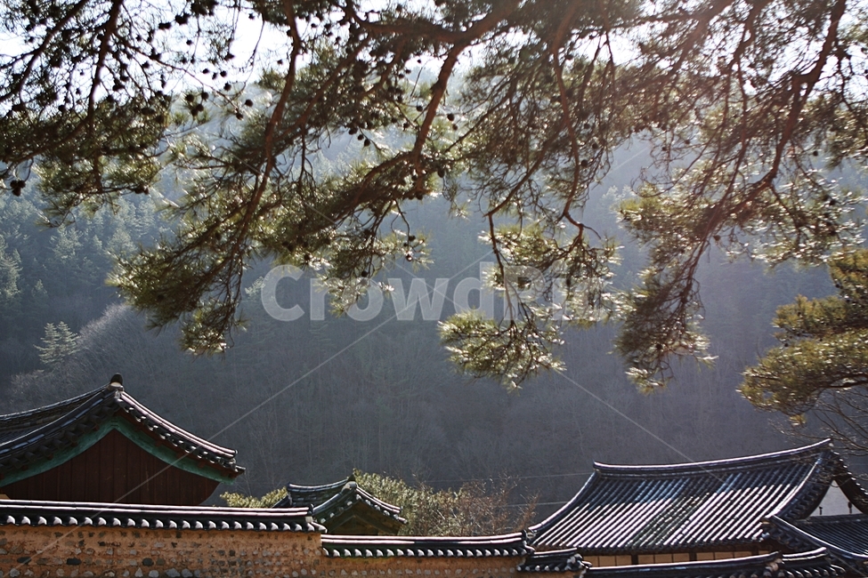 한옥,집,배경,풍경,자연,한국전통,한국문화,korean traditional,korean culture,건축물,건물외관,exterior,building,structure,architecture,construction