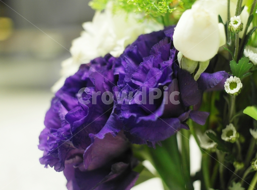 꽃,꽃다발,장미,국화,기념일,식물,자연,plants,nature,꽃,flower