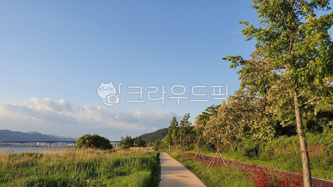 outdoors, 옥외, path, 길, 아름다움, 사진,이미지,일러스트,캘리그라피 - N2001kimminsu작가