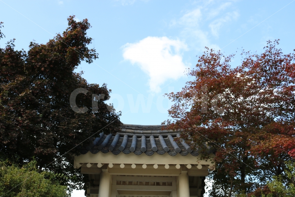 korean,traditional,sky,natural,tree,spring,door,한국,하늘,전통적인,나무,한국전통,한국문화,korean traditional,korean culture,건축물,건물외관,exterior,building,structure,architecture,construction