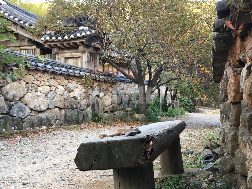선암사,풍경,가을,낙엽,돌담장,담장,기와,선암매,매화,산사,산지승원,절,사찰,불교,템플스테이,기도,유네스코,세계문화유산,의자,돌담,산책,나무의자,흙길,돌길,한국전통,한국문화,korean traditional,korean culture,건축물,건물외관,exterior,building,structure,architecture,construction