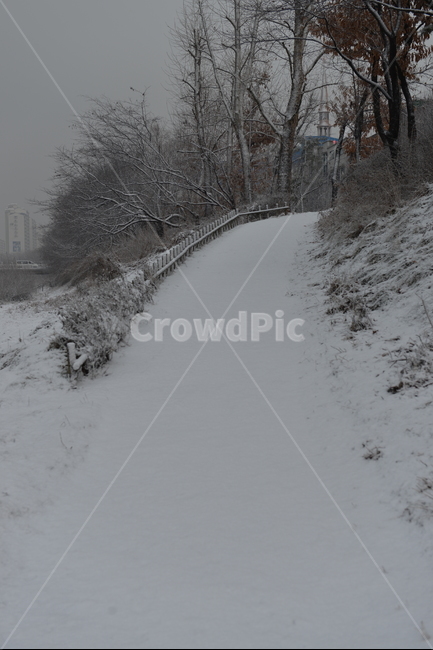 눈,첫눈,밟지않은눈,소복히쌓인눈,하얀나라,눈온뒤,겨울,계절,winter,season