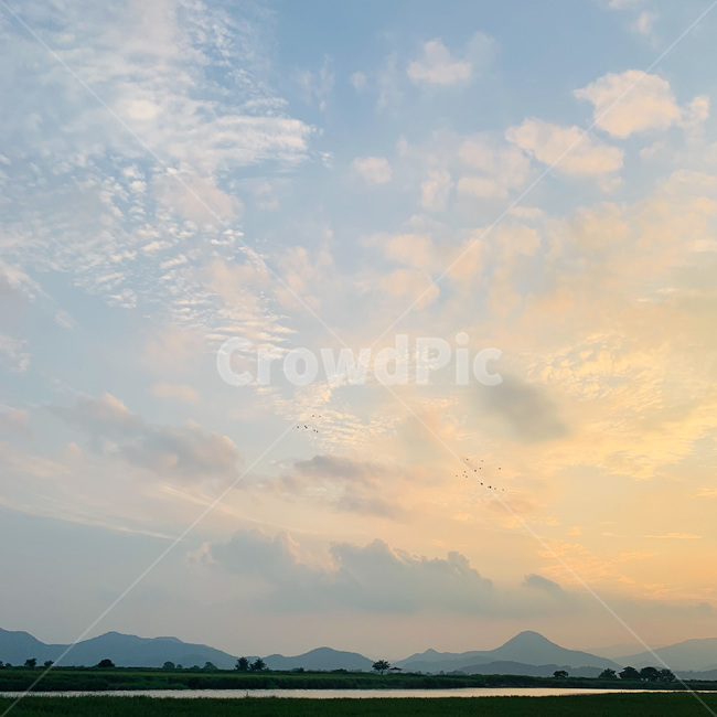 순천,suncheon,순천만습지,suncheonmanbay,노을,sunset,nature,자연,outdoors,옥외,weather,날씨,sky,하늘,cloud,구름,해질녘,일몰,석양,황혼