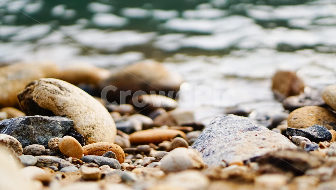 돌,물,강,풍경,강물,강가,남이섬,자연,자연,풍경,nature,landscape