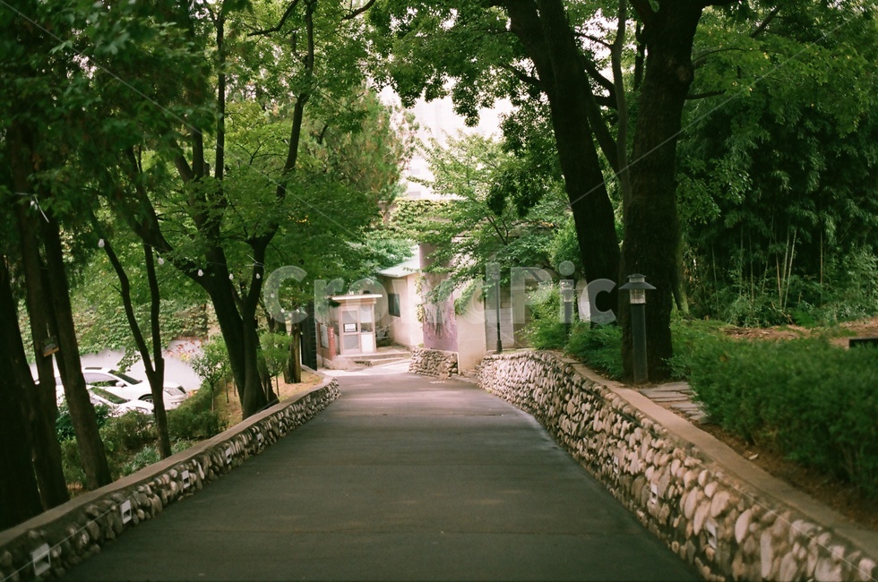판타지,동산,정원,공원,여름풍경,청라언덕,양옥집,house,주택,시골집,여름,일제강점기,문화유산,나무,풀,건물,전통,건축물,건물외관