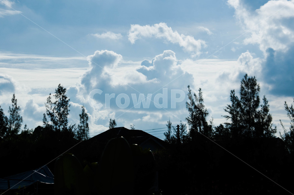 weather,날씨,nature,자연,outdoors,cloud,구름,옥외,cumulus,sky,하늘,적운