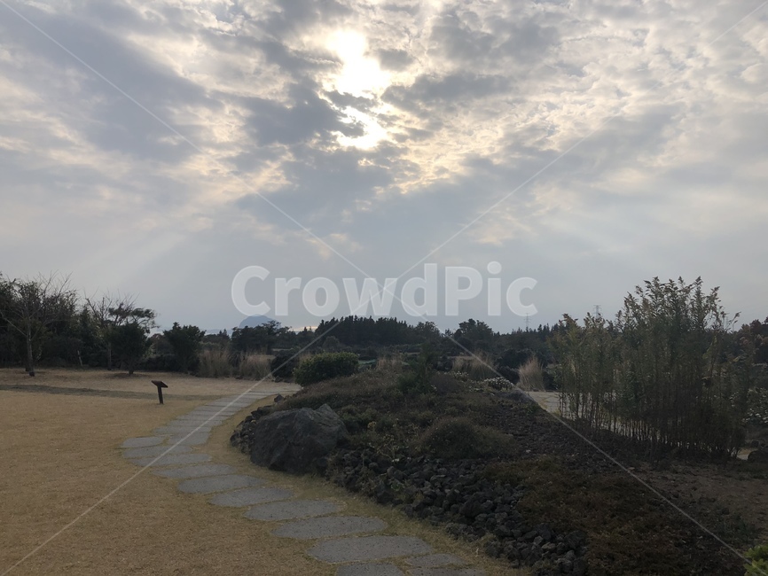 자연,길,구름,태양,햇빛,오후,저녁,산책,공원
