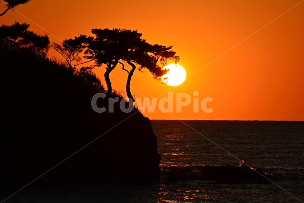 부안,솔섬,솔섬일몰,nature,자연,outdoors,옥외,sky,하늘,redsky,붉은하늘,sunset,일몰,dusk,노을,바다,해안,해변