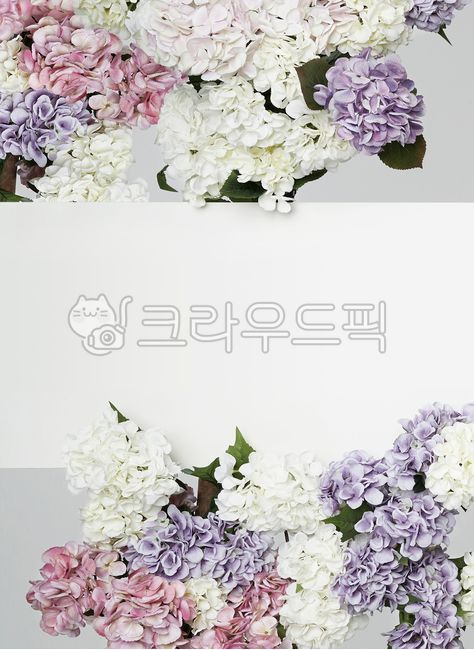 수국,꽃,꽃장식보드,꽃장식,꽃다발,꽃꽃이,flower,flowerbouquet,flowerarrangement,flowerdecorated,flowerdecoratedboard,꽃잎,petal,background,백그라운드,배경소스,backgroundsource,source,배경