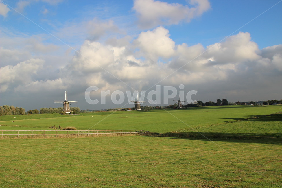 네덜란드,풍차,잔디,Netherlands,Windmill,grass,자연,풍경,nature,landscape,해외,외국,세계,foreign,oversea,world,세계자연풍경,해외자연풍경,외국자연풍경,world nature landscape,plant,식물