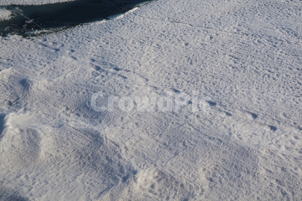 북극,북극곰,발자국,북극해,빙하,유빙,바다,극지,눈,arctic,snow,polarbear,footprint,자연,arcticocean,겨울,계절,winter,season,자연,풍경,nature,landscape,outdoors,옥외