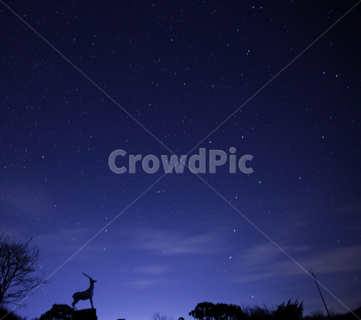 자연풍경,겨울,아경,밤,하늘,별,야경,밤,풍경,nightscape,night,landscape,nature,자연,outdoors,옥외,outer space,대기권 밖,astronomy,천문학,universe,우주,starry sky,별이 빛나는 하늘