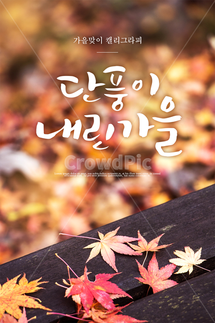 단풍,벤치,낙엽,캘리그라피,손글씨,가을,배경,가을,계절,fall,autumn,season,캘리그라피,손글씨,calligraphy,leaf,잎,plant,식물