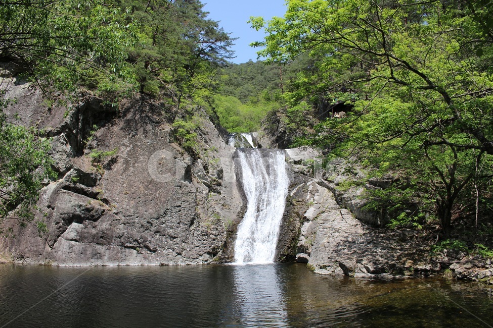 폭포,계곡,여름,시원한,waterfalls,summer,fresh,cold,water,물,나무,자연,nature,주왕산폭포,주왕산,물줄기,자연,풍경,nature,landscape,한국자연풍경,한국자연경관,korea nature landscape,river,강,outdoors,옥외,waterfall