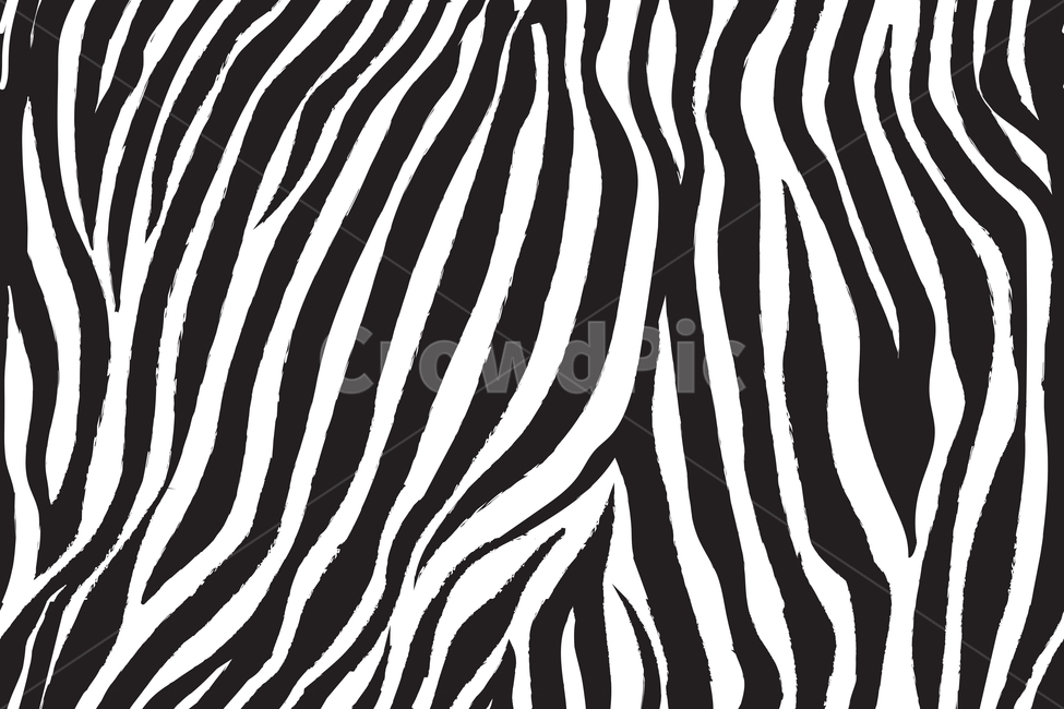 zebra,얼룩말,얼룩말무늬,지브라,지브라패턴,zebraskin,블랙앤화이트,animalprint,사파리,safari,자연,vector,벡터,패턴,무늬,pattern,그래픽,일러스트레이션,graphic,illustration,텍스처,질감,패턴,texture,pattern