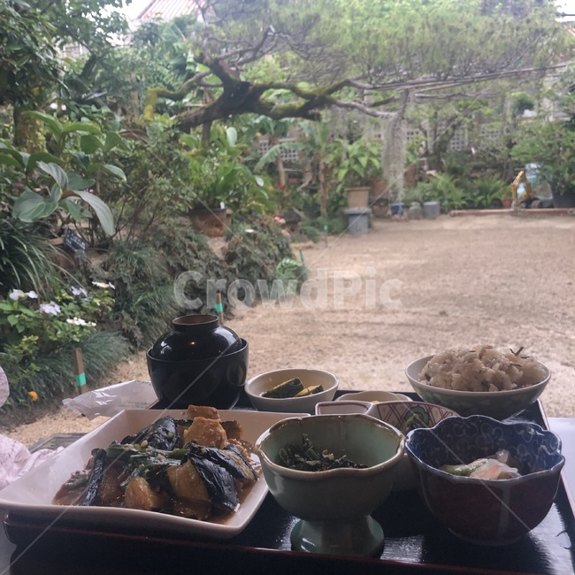 일본가정식,마당,자연,식물,가지덮밥,음식,식재료,요리,food,cook,meal,dishes,food reserves,일식,일본음식,일본요리,Japanese food,Japanese dishes,Japanese meal,Japanese cook