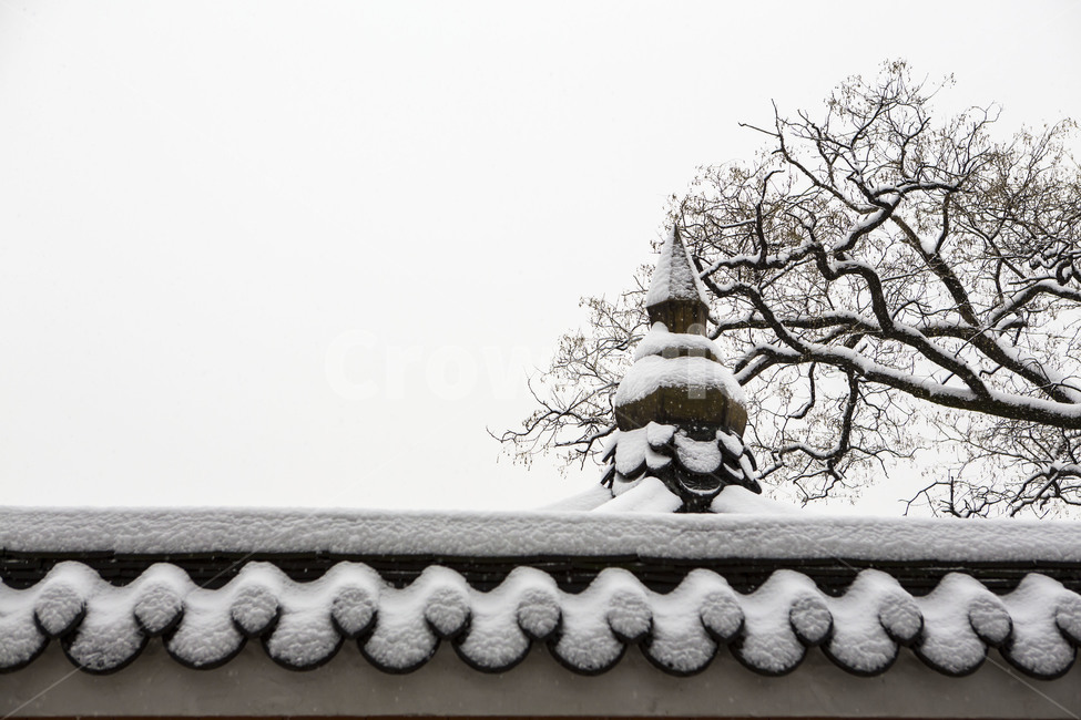 담벼락,설경,눈꽃,고궁,풍경,겨울,계절,winter,season,한국전통,한국문화,korean traditional,korean culture,식물,자연,plants,nature,나무,trees,wood,건축물,건물외관,exterior,building,structure,architecture,construction