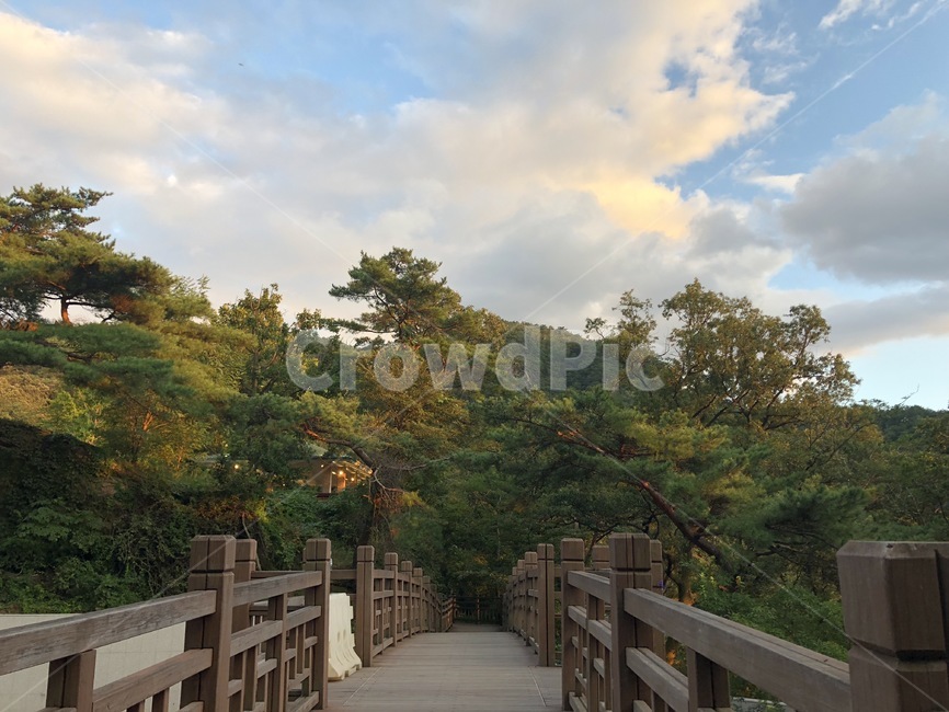bridge,다리,boardwalk,산책로,포천,산정호수
