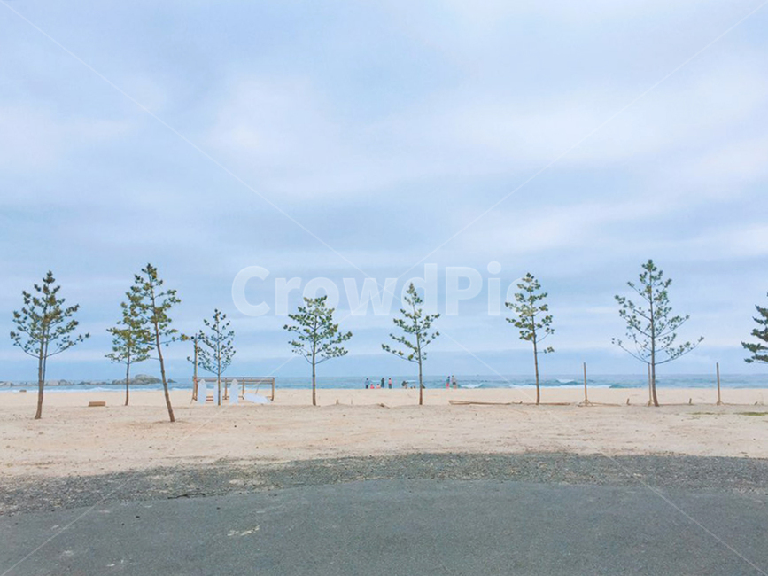 여름,바다,해변,모래사장,나무,하늘,구름,summer,sky,background,자연,풍경,nature,landscape,해변,바다,beach,sea,tree,plant,식물
