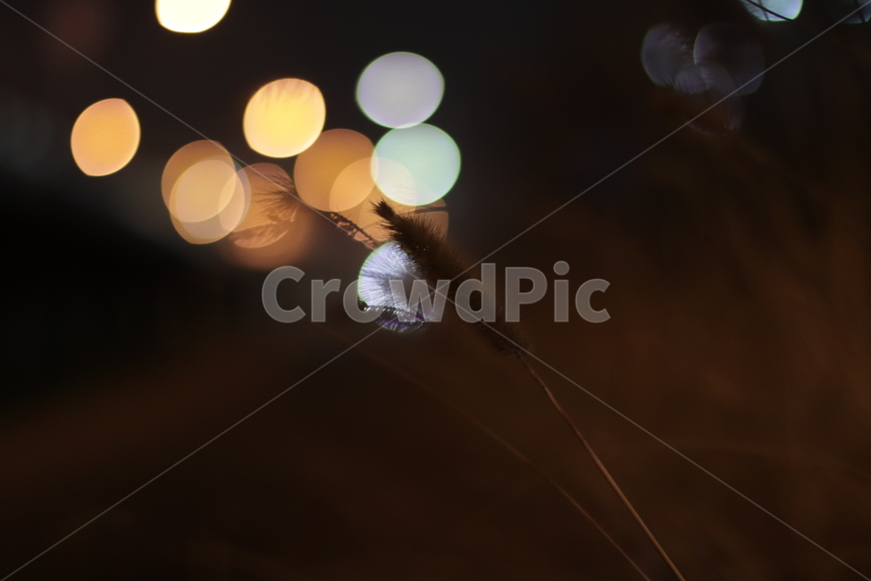 감성,고독,외로움,갬성,감정,야경,야경,밤,풍경,nightscape,night,landscape,light,빛,flare,플레어