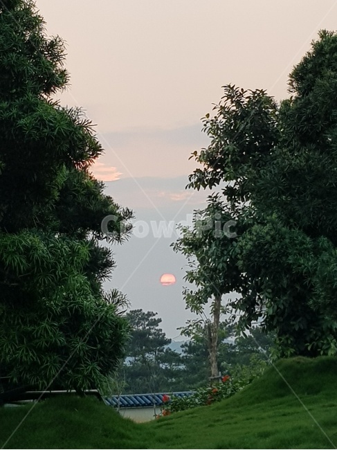 nature,자연,outdoors,옥외,구름,해질녘,나무,노을