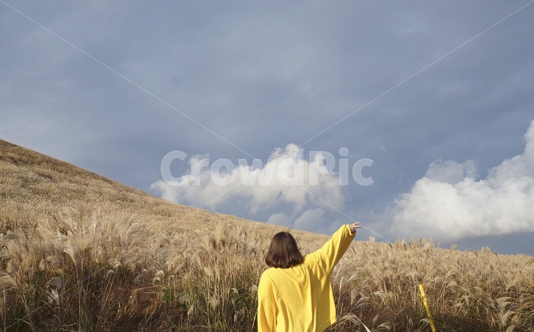 새별오름,흐림,갈대,제주도,노란색,가을,사람,인물,인간,human,person,여성,여자,woman,female,lady,여행,휴가,traveling,vacation,trip