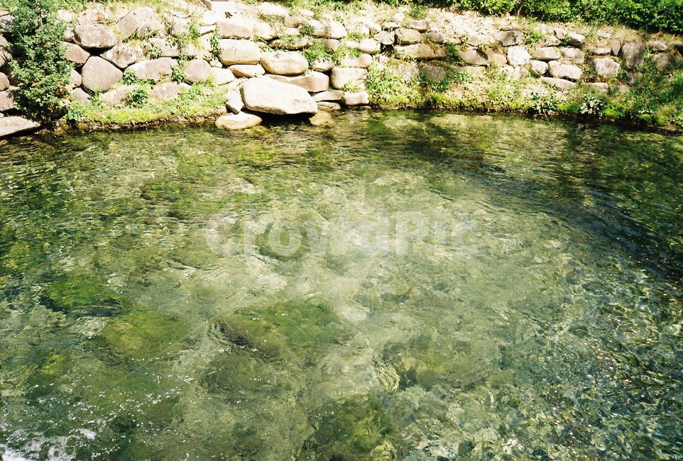 황지연못,연못,강원도,태백,풍경,자연,풍경,nature,landscape,휴식,힐링,rest,relaxation,healing,water,물,outdoors,옥외