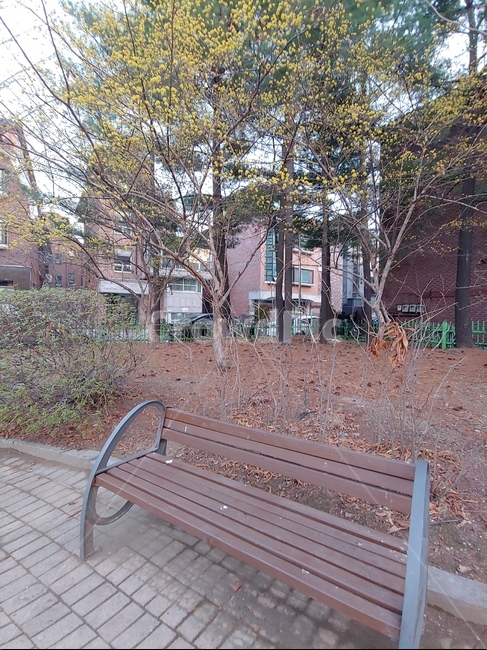 공원,벤치,의자,단풍,나무,자연,자연,풍경,nature,landscape,bench,park bench,공원 벤치