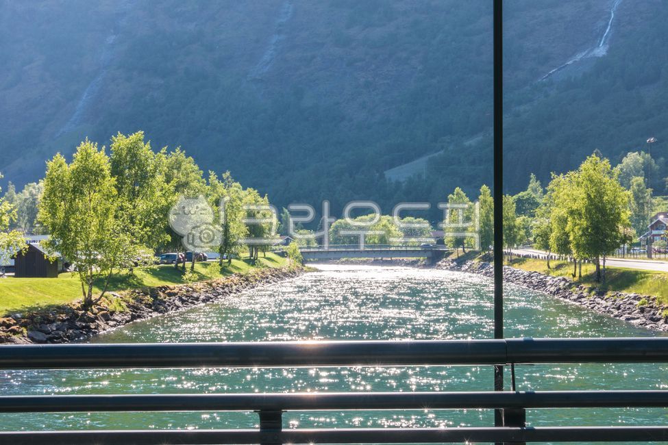 노르웨이,피오르드,norway,fjord,자연,tree,plant,식물