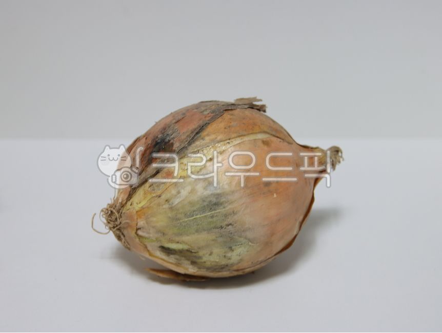양파,채소,양파껍질,onion,음식