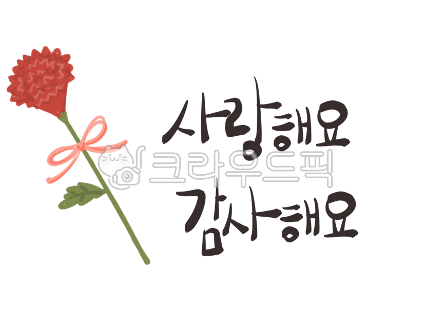 Teachers day,hand drawing,handwriting,carnation,thank you,Mothers Day,flower,May 8th,thanks,i love you,pen writing,May 15th,calligraphy