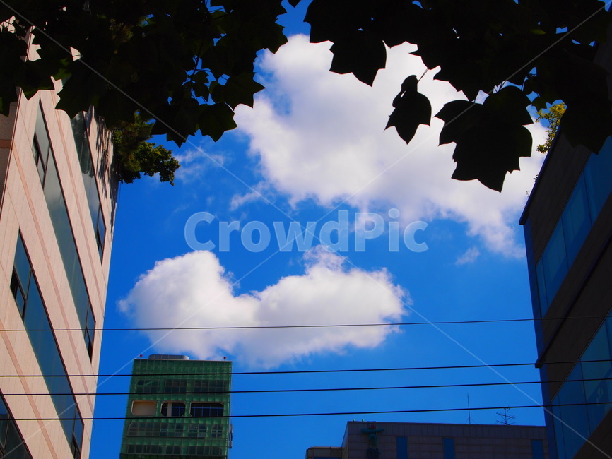 그늘,하늘,건물,푸른색,구름,바탕,색,색깔,흰색,낮,여름,더위,도시,풍경,city,landscape,한국도시풍경,한국도시경관,korea cityscape,nature,자연,outdoors,옥외
