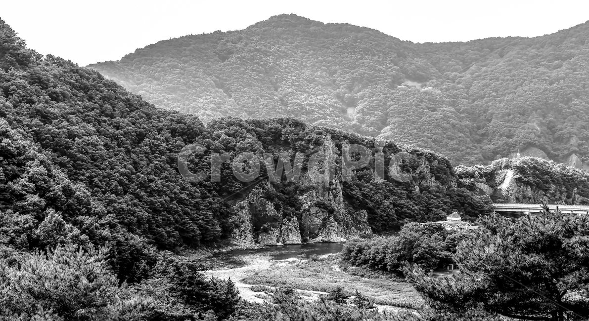 나무,한국,흑백,흑백사진,대한민국,진남교반,풍경,beauty,spring,fresh,꽃,한국전통,문경,진남교,냇가,여름,푸른,초록,summer,tree,forest,landscape,휴식,힐링,rest,relaxation,healing,outdoors,옥외,garden,정원,식물,grass,잔디,road,도로,nature,자연,countryside,흑백,모노톤,monochrome,black and white
