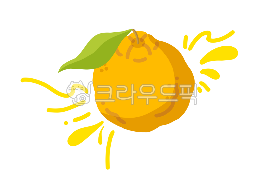 한라봉,한라봉일러스트,손그림,제주도,제주도일러스트,시트러스,상큼한,제주,귤,감귤,과일,제철과일,새콤한,맛있는,신선한과일,과일일러스트,그림,일러스트,핸드드로잉,제주일러스트,레드향,천혜향,천혜향일러스트,레드향일러스트
